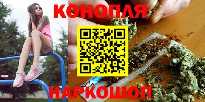 шишки Будённовск