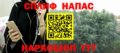 шишки Будённовск