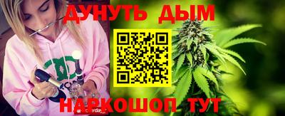 шишки Будённовск