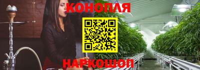 шишки Будённовск