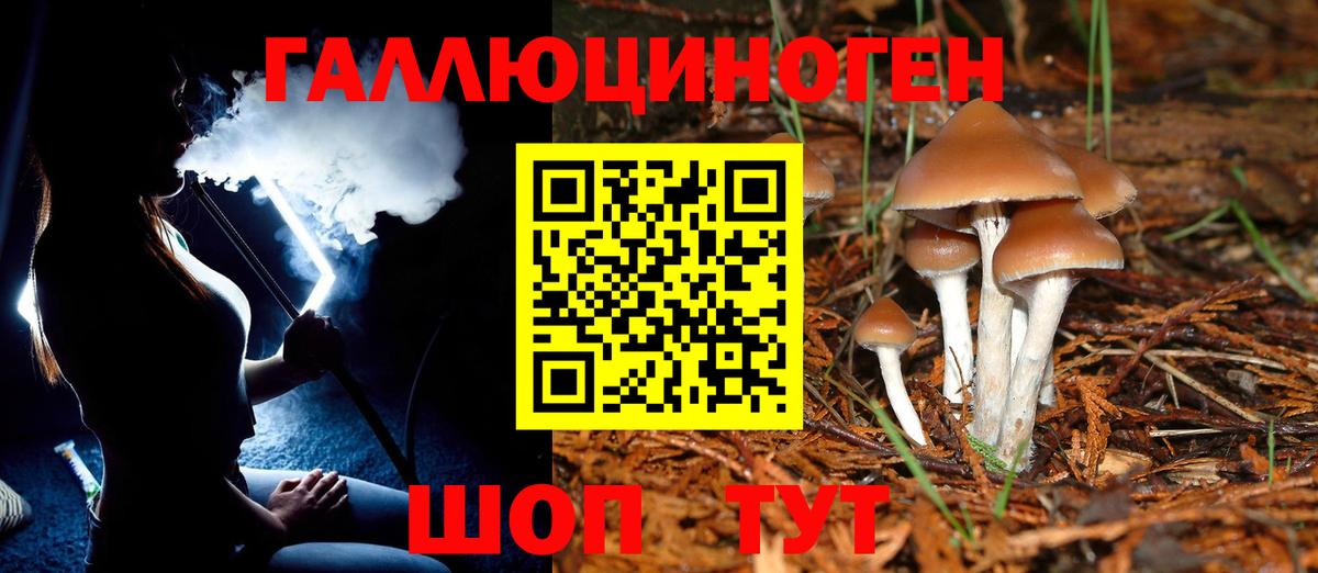 Псилоцибиновые грибы ЛСД  Вход с VPN  Озёры  Псилоцибиновые грибы Psilocybe 